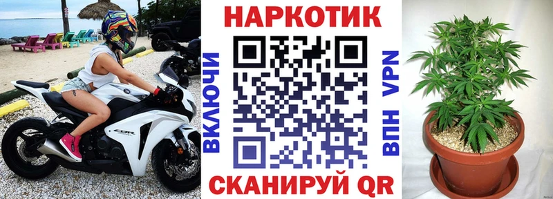 Купить закладку КОКАИН  АМФЕТАМИН  Гашиш  Канабис  Кодеин  Меф мяу мяу  Псилоцибиновые грибы  Городовиковск