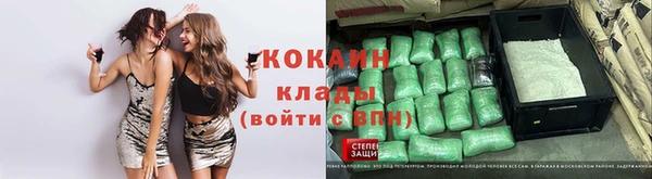 твердый Касимов