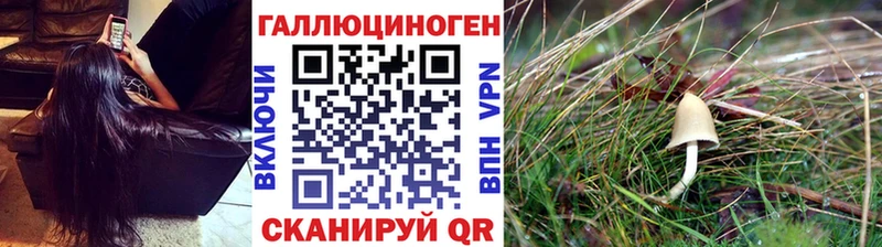 Галлюциногенные грибы ЛСД  Купить закладки  Городовиковск 