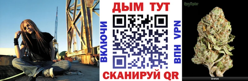 Купить где  Городовиковск  Конопля марихуана 